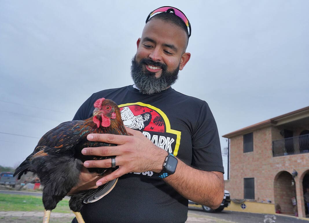 Amid egg scarcity, Valley chicken farmer hatches business plan - Lone ...